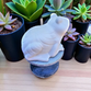 Large Garden Frog
