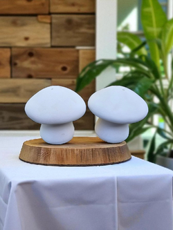 Mushroom Salt and Pepper Shaker Set