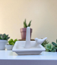 Bird Ring Dish